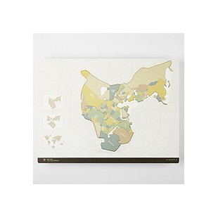 Puzzle - BOARD PUZZLE "PIECES OF THE PANGAEA"